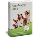 Haar-Test Vitalstoff-Analyse für Hunde
